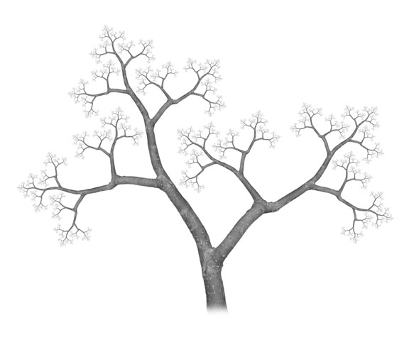 Fractal Tree